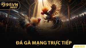 Đá Gà Mạng Trực Tiếp