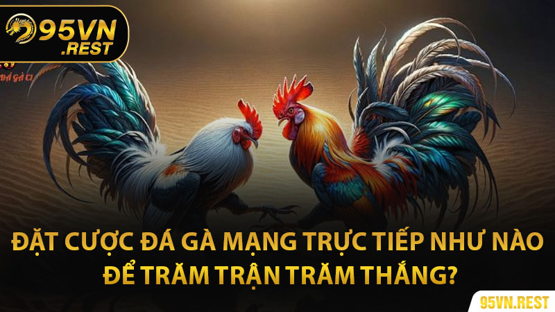 Đặt cược đá gà mạng trực tiếp như nào để trăm trận trăm thắng?