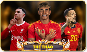 thể thao 95VN